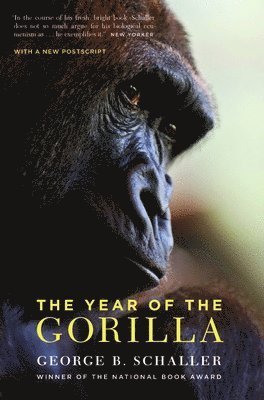 bokomslag The Year of the Gorilla