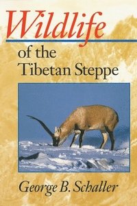 bokomslag Wildlife of the Tibetan Steppe