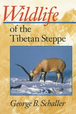 bokomslag Wildlife of the Tibetan Steppe