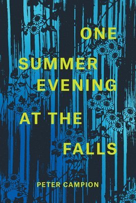 Peter Campion - One Summer Evening at the Falls, Häftad