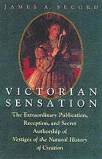 bokomslag Victorian Sensation