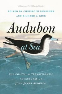 bokomslag Audubon at Sea