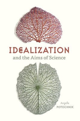 bokomslag Idealization and the Aims of Science