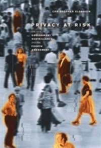 bokomslag Privacy at Risk