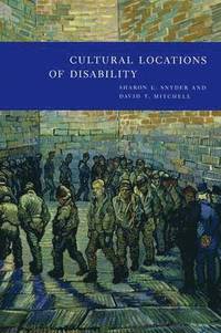 bokomslag Cultural Locations of Disability