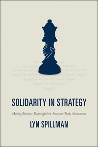 bokomslag Solidarity in Strategy