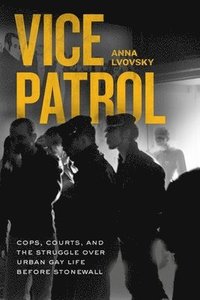 bokomslag Vice Patrol