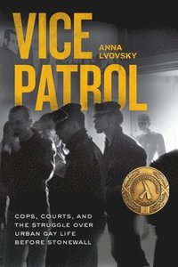 bokomslag Vice Patrol