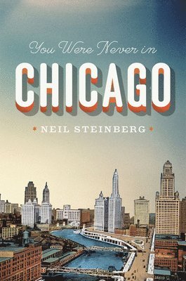bokomslag You Were Never in Chicago