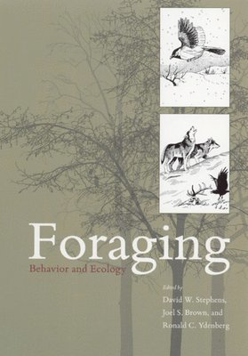 bokomslag Foraging