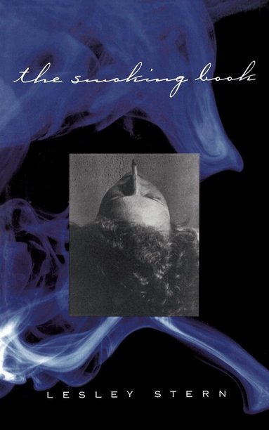 Lesley Stern - Smoking Book, Häftad