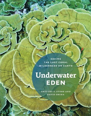 Greg S. Stone, David Obura, Gregory S. Stone, Gregory S Stone - Underwater Eden, Inbunden