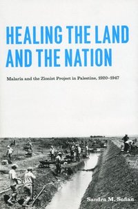 bokomslag Healing the Land and the Nation
