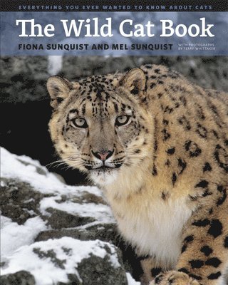 The Wild Cat Book 1