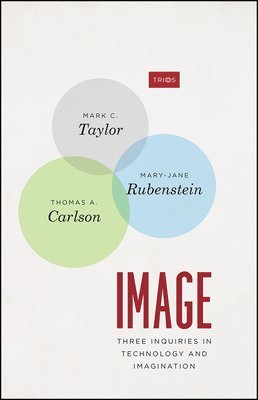 Mark C. Taylor, Mary-Jane Rubenstein, Thomas A. Carlson - Image, Inbunden