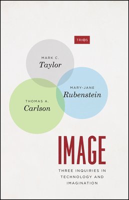 Mark C. Taylor, Mary-Jane Rubenstein, Thomas A. Carlson - Image, Häftad
