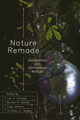 Nature Remade 1