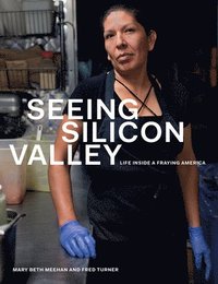 bokomslag Seeing Silicon Valley