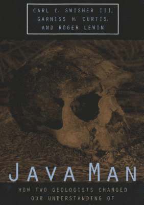 Java Man 1