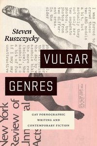 bokomslag Vulgar Genres