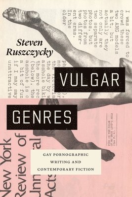 bokomslag Vulgar Genres