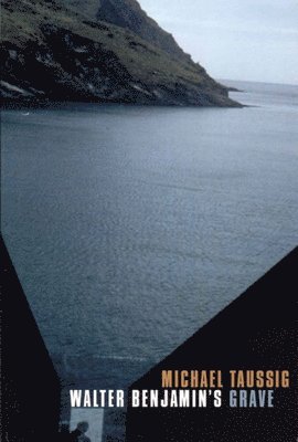 Michael Taussig - Walter Benjamin's Grave, Inbunden