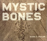 bokomslag Mystic Bones
