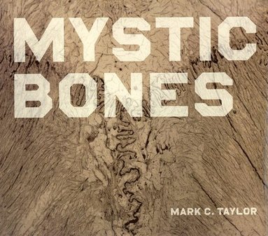 Mark C. Taylor - Mystic Bones, Inbunden