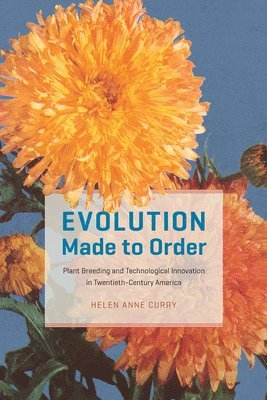 Helen Anne Curry - Evolution Made to Order, Häftad