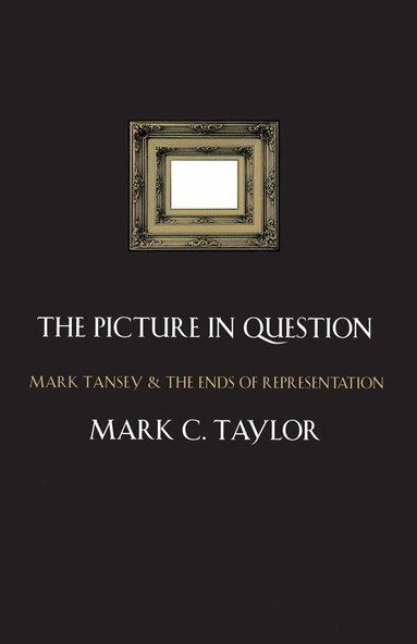Mark C. Taylor - Picture in Question, Häftad