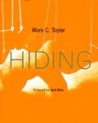 bokomslag Hiding