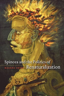 bokomslag Spinoza and the Politics of Renaturalization