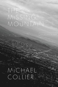 bokomslag The Missing Mountain