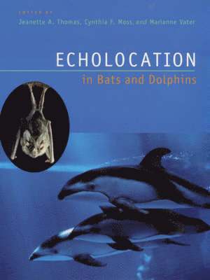 Jeanette A. Thomas, Cynthia F. Moss, Marianne Vater - Echolocation in Bats and Dolphins, Häftad