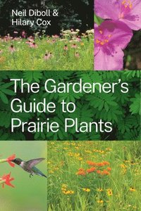 bokomslag The Gardener's Guide to Prairie Plants