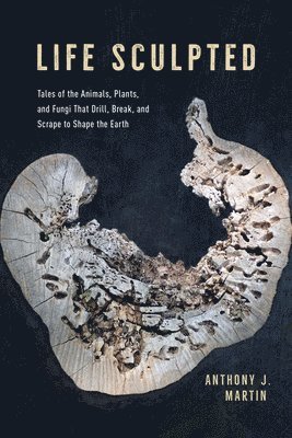 Anthony J. Martin, Anthony J Martin - Life Sculpted, Inbunden