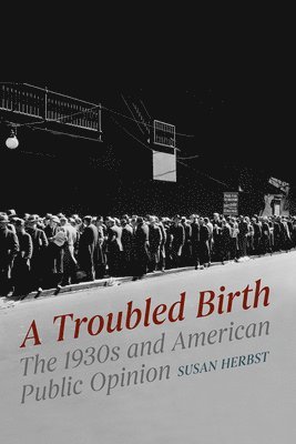 Susan Herbst - Troubled Birth, Häftad