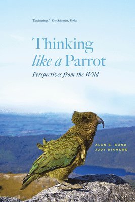 Thinking like a Parrot 1