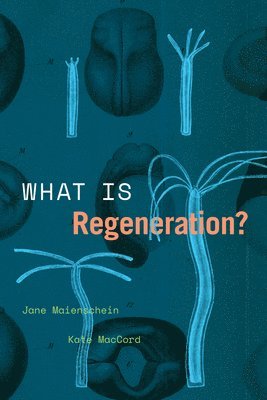 Jane Maienschein, Kate MacCord - What Is Regeneration?, Häftad