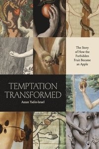 bokomslag Temptation Transformed