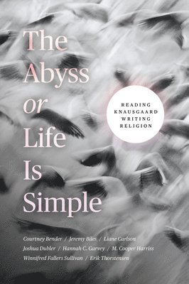 Courtney Bender, Jeremy Biles, Liane Carlson, Joshua Dubler, Hannah C. Garvey, M. Cooper Harriss, Winnifred Fallers Sullivan, Erik Thorstensen - Abyss or Life Is Simple, Häftad