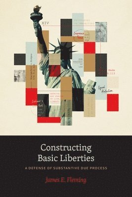 bokomslag Constructing Basic Liberties