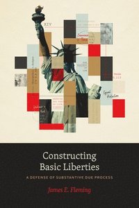 bokomslag Constructing Basic Liberties