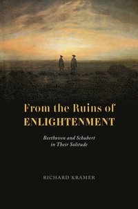 bokomslag From the Ruins of Enlightenment
