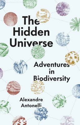 bokomslag The Hidden Universe