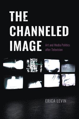 Erica Levin - Channeled Image, Häftad