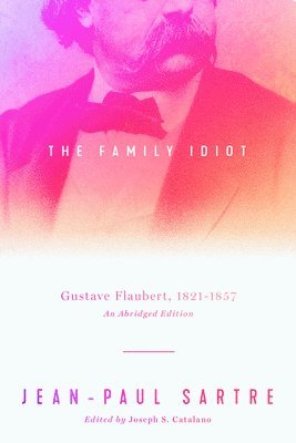 Jean-Paul Sartre, Joseph S. Catalano - Family Idiot, Häftad