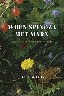 Tracie Matysik - When Spinoza Met Marx, Inbunden