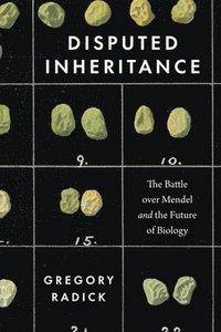 bokomslag Disputed Inheritance