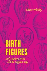 bokomslag Birth Figures
